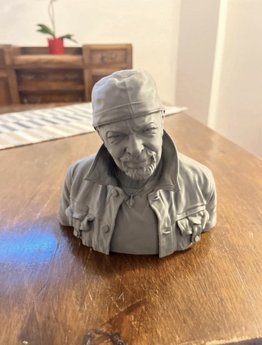 Busto vasco rossi stampato - busto,